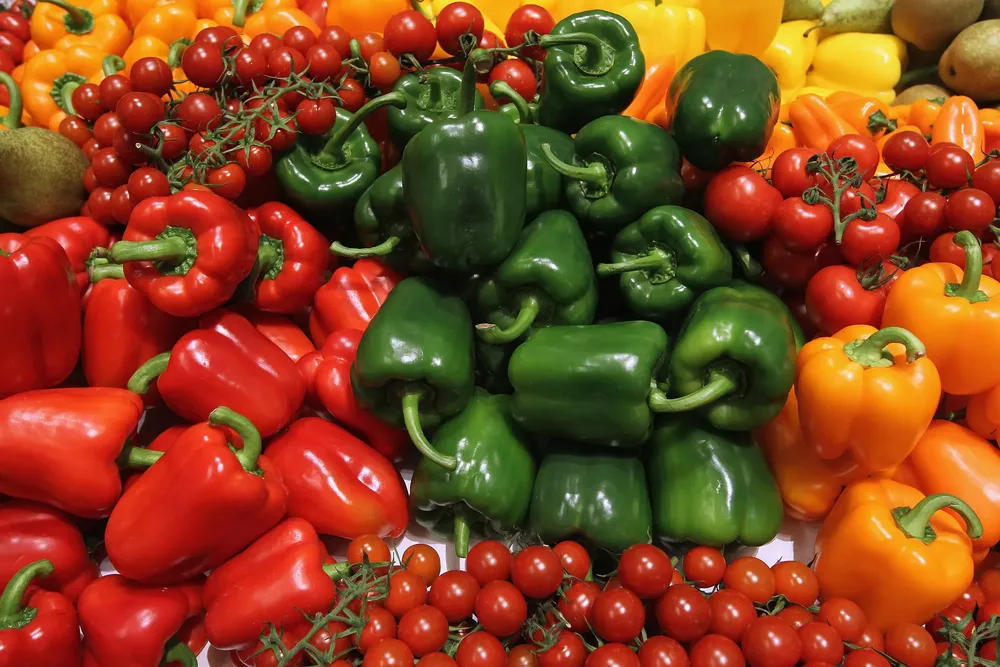 2012-09-04-tomates-pimientos_TINIMA20120904_0265_1